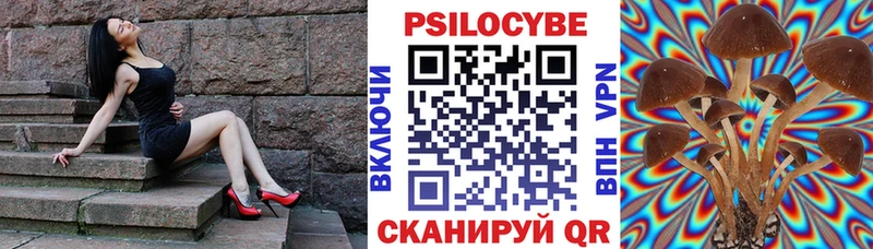 дарк нет телеграм  Кудымкар  Псилоцибиновые грибы прущие грибы  дарнет шоп  mega как зайти 
