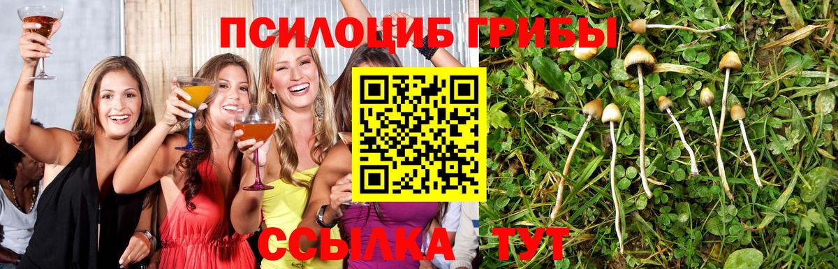 Кудымкар  где можно купить наркотик  Вход с VPN  Псилоцибиновые грибы мицелий 