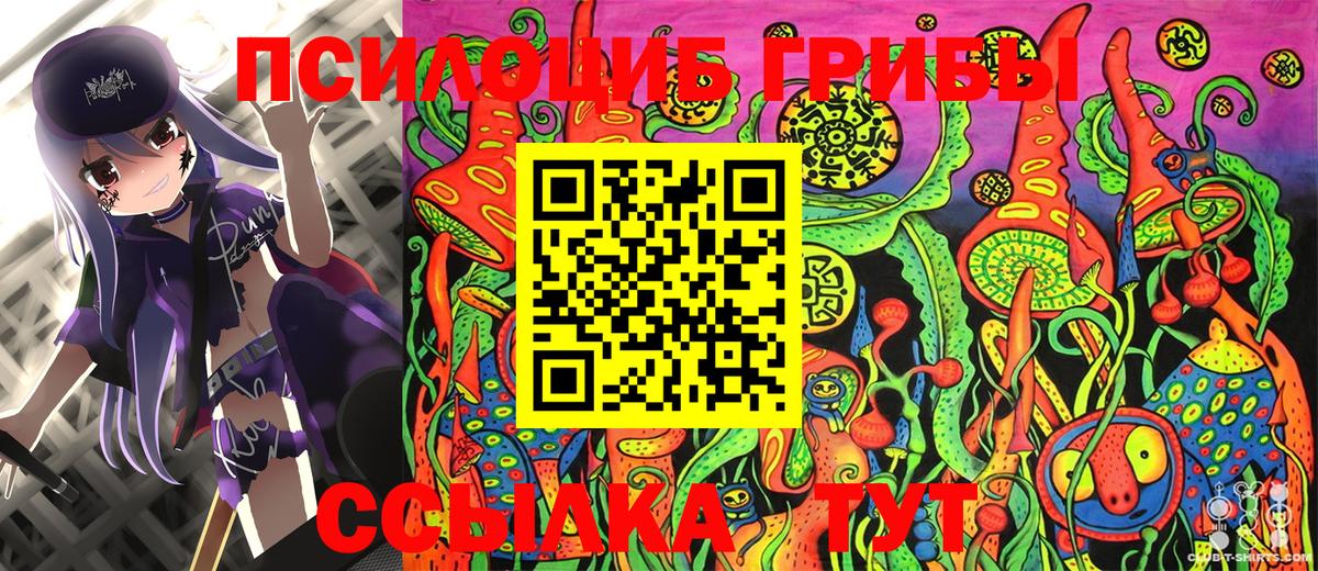 Псилоцибиновые грибы мухоморы  Галлюциногенные грибы Psilocybe  где купить наркоту  Кудымкар 