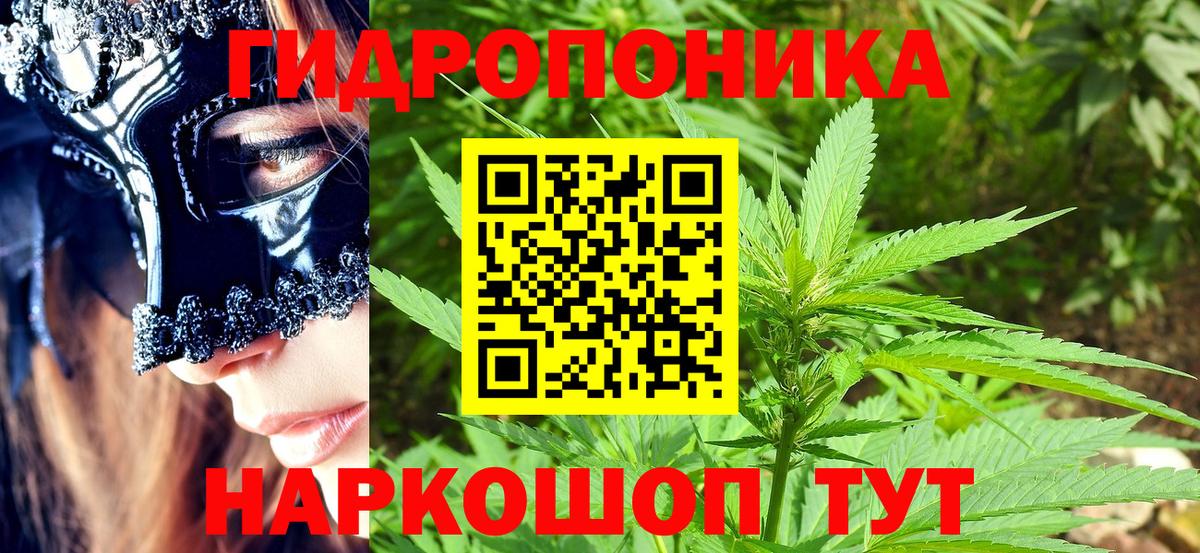 Канабис конопля  Кудымкар  Бошки марихуана Bruce Banner  Каннабис план  Конопля OG Kush 